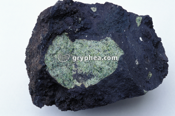 Nodule de péridotite dans du basalte - gryphea.com